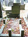 Daalseweg cemetery, grave of Leo Jacobs, signaller of Saint Steven's Tower, 22-02-'44.[18]