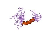 1zwd​: Kristalna struktura ljudskog paratiroidnog hormonskog fragmenta 3-37, NMR, 10 struktura