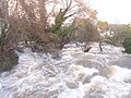 L'Aven en crue à Pont-Aven (3 janvier 2014) 5