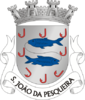 Coat of arms of São João da Pesqueira