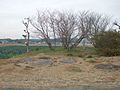 Dolmen in Japan