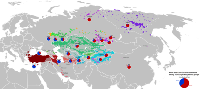 Turkic languages and genetic makeup.png