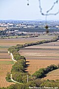 Vale do Rio Tejo - Santarém - Portugal 🇵🇹 (53576445636).jpg