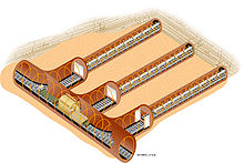 A σχέδιο που παρουσιάζει κύρια σωληνοειδή σήραγγα, που συνδέεται στην πλευρά του με τρεις άλλες σωληνοειδείς σήραγγες, όλες που ενσωματώνονται σε αμμοειδές θέμα.
