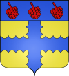 Blason