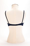 Brassiere (AM 2000.93.74-3).jpg