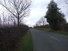 Lane towards South Otterington - geograph.org.uk - 2718851.jpg