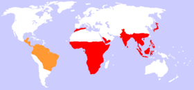 Range of monkeys: Old World monkeys (red) New World monkeys (orange)