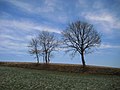 15.10.09 Winter bei Thyrnau