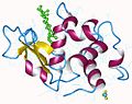 Vignette pour Lysozyme