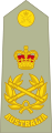 Australian Army field marshal shoulder board