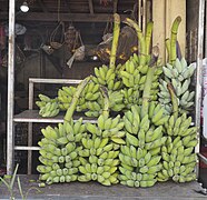 Bananenstauden auf einem Markt.jpg