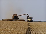 Cosecha de trigo en Australia