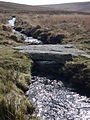 Clapper bridge near Huntingdon Warren over the Western Walla Brook