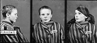 Wilhelm Brasse: Czesława Kwoka, vězeňkyně, koncentrační tábor Osvětim, 1942–1943