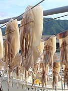 Iwami squid drying DSC01868.jpg