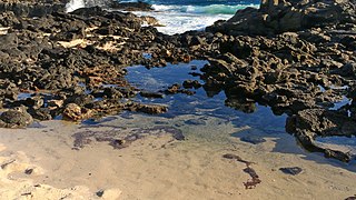 Makapuu Beach Park, Waimanalo - panoramio.jpg