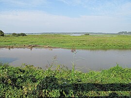 Orx Marsh nature reserve