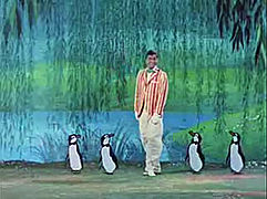 Bert bailando con los pingüinos