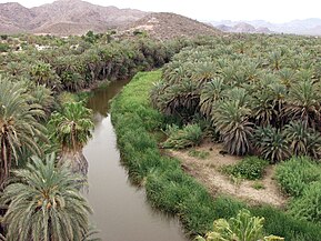 Oasis Mulegé, Baja California Sur