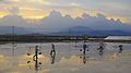 Image 9Making salt by evaporation of sea water near Ninh Hòa town, Khánh Hòa Province Vietnam