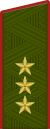 Colonel General