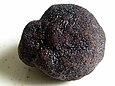 Schwarze Trüffel (Tuber melanosporum)