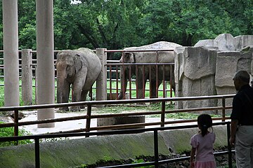Elephant enclosure