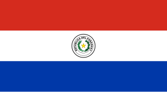 Bandera instaurada por el Congreso en 2013 (en uso).