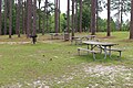 Jefferson Davis Memorial picnic area by group shelter