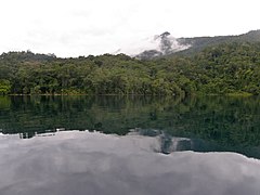 Selva tropical, Selva Lacandona, Chiapas