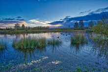 The man-made lakes at Lakeside Park