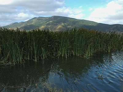 Landscape at the Ichkeul National Park Author: Mohamed Gouli