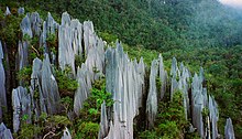 Limestone pinnacles jutting out of a mountainside forest on Mount Api