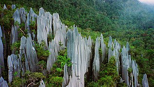 Tall, light grey stone columns protruding above a forest