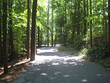 Walking/running trail