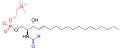 Estructura generala d'una esfingomielina, un autre exemple d'esfingolipid