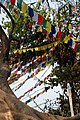 Drapeaux à prières à Swayambunath, Katmandou (Népal).