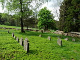 Čeština: Náhrobky na židovském hřbitově u vsi Olšany v okrese Jindřichův Hradec, Jihočeský kraj. English: Gravestones in the Jewish cemetery by the village of Olšany, Jindřichův Hradec District, South Bohemian Region, Czech Republic.