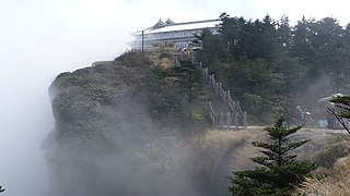 Abies fabri Emei Shan summit.jpg