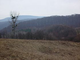 Ландшафт в горах Баконь