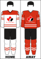 2008–2014, 2016 IIHF jerseys