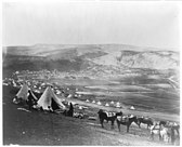 Cavalry camp near Balaklava.