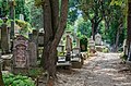 L'antico cimitero sassone