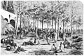 Die Gartenlaube (1876) b 821.jpg Auf dem Holzmarkt zu Milianah in Algerien. Nach der Natur aufgenommen von Albert Richter in Haking