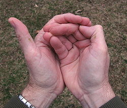 Press the tips of the fingers of the right hand together and place them in the left palm...