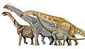 Saurópodos macronarianos; de izquierda a derecha, Camarasaurus, Brachiosaurus, Giraffatitan y Euhelopus.