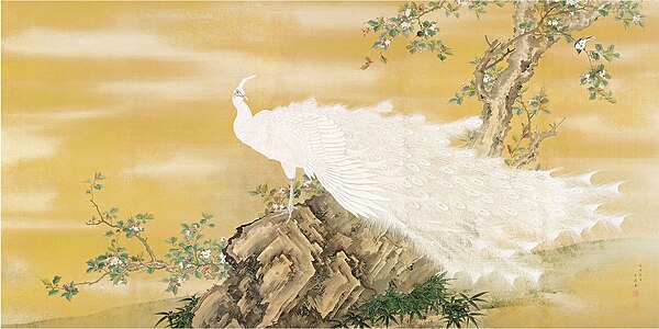 White Peafowl, 1908