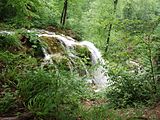 Der Neidlinger Wasserfall unweit der Ruine Reussenstein