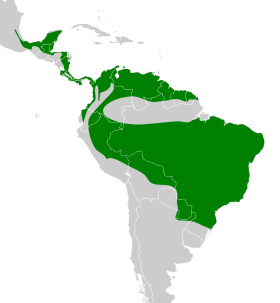Distribución geográfica de la titira coroninegra.